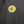 Sally Cinnamon Custom T-shirt - Black