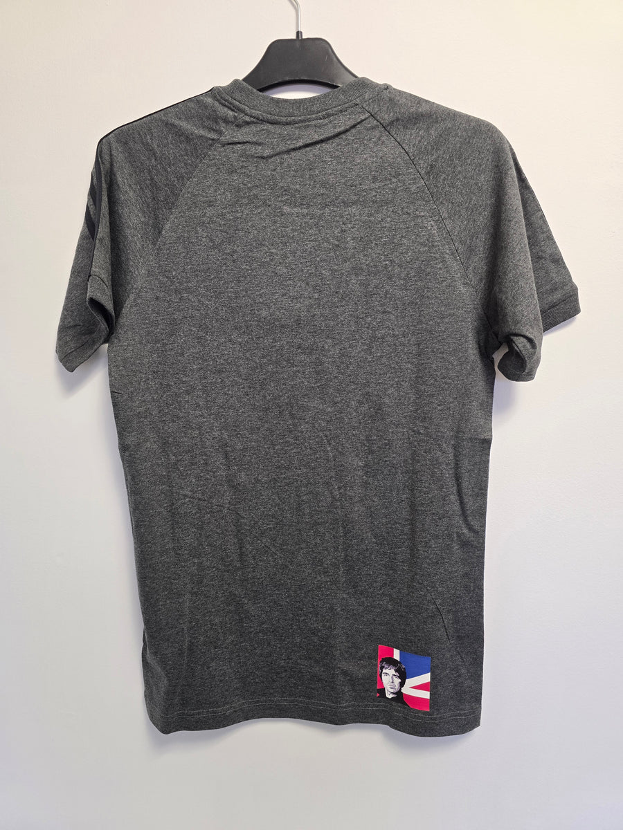 Whats The Story Morning Glory Custom T-shirt - Grey