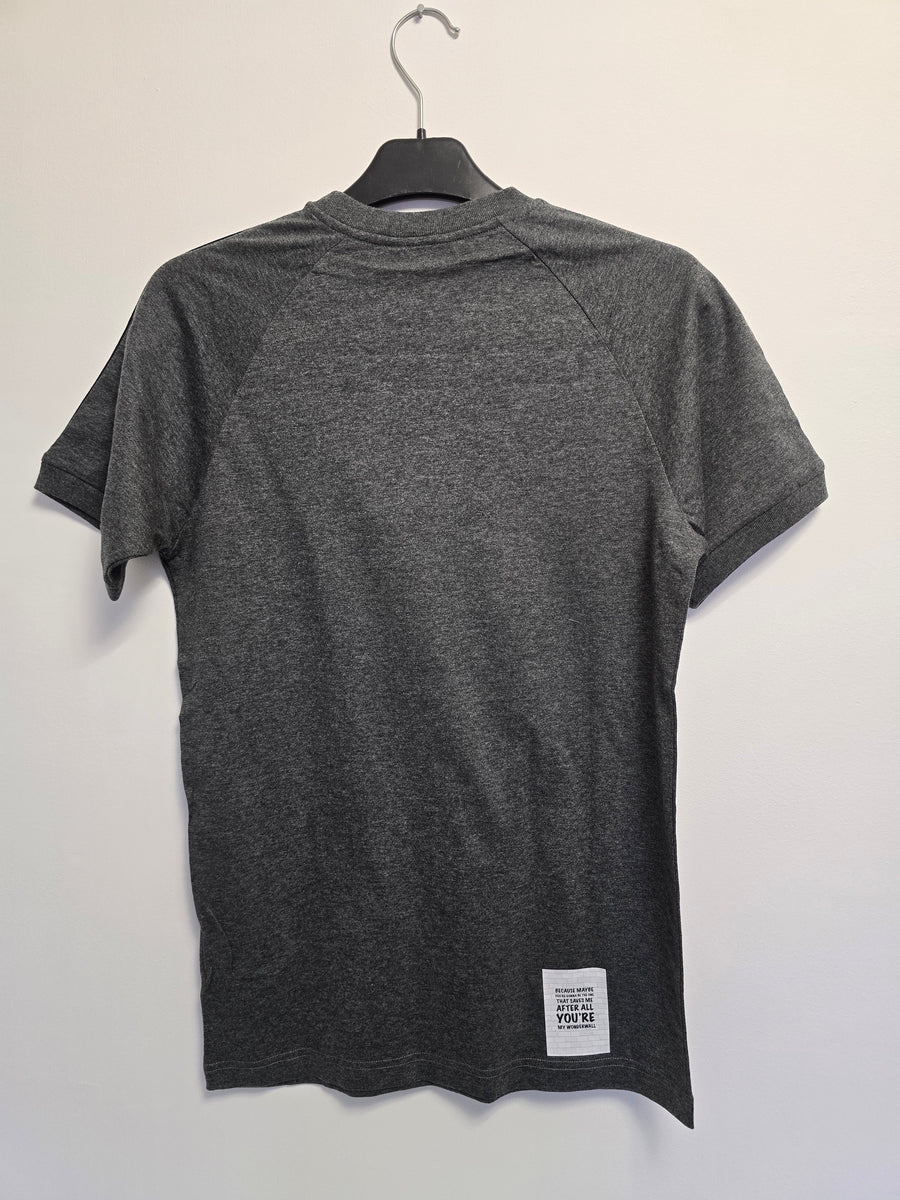 Wonderwall Custom T-shirt - Grey Small