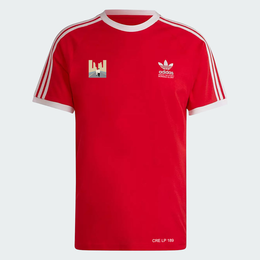 Whats The Story? Morning Glory Custom T-shirt